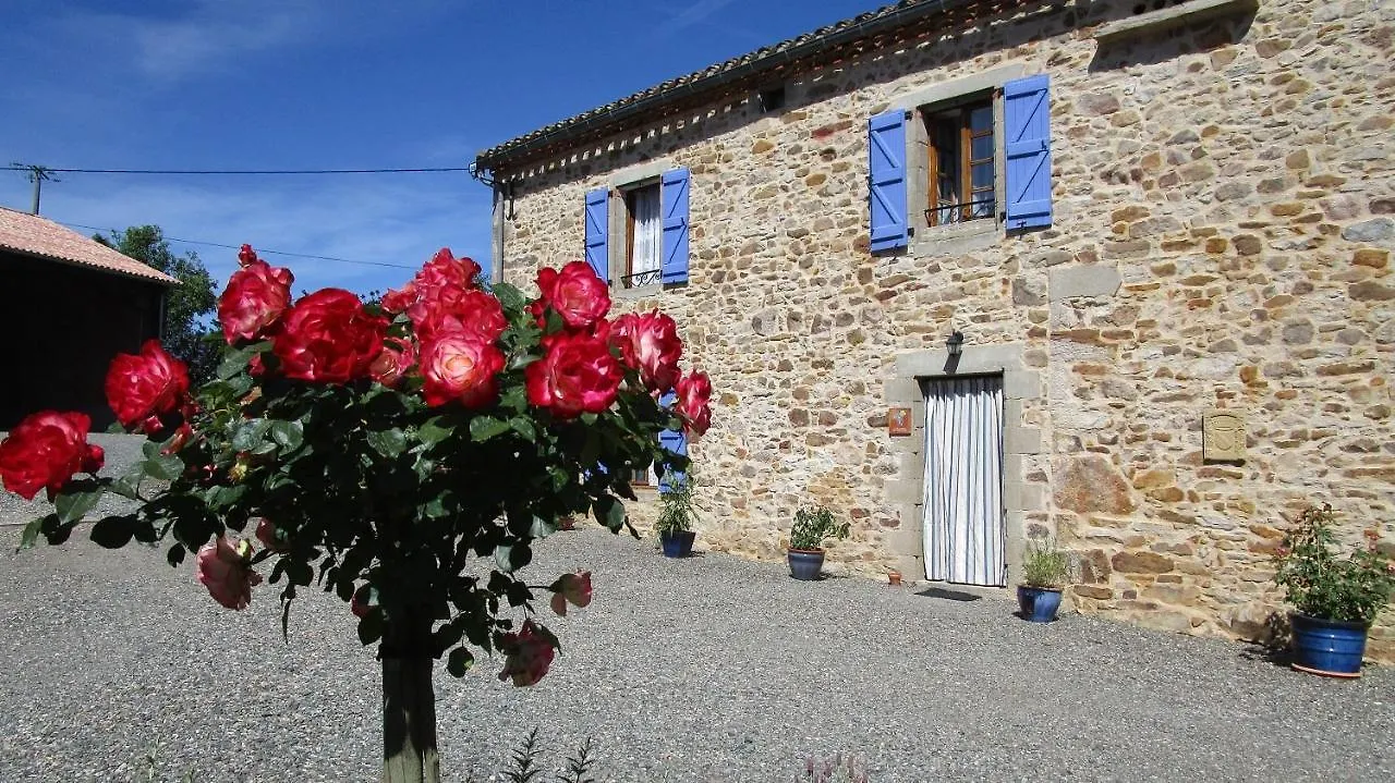 Gîtes&Chambres d'hôtes Peyrecout Laparrouquial 0*,  France
